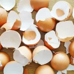 15 Genius Ways to Use Eggshells : They will change your home and Garden