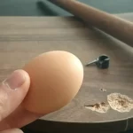 Wooden furniture, don’t throw anything away: just 1 egg is enough to repair everything