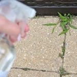 7 Powerful and Easy-to-Make Weed Killer Recipes