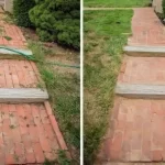 An Effective and Simple to Prepare Weed Killer: This Mixture Eliminates All Weeds