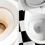 Cleaning the toilet: since I discovered this method it is always white and shiny! I no longer use chemicals!