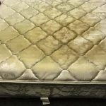 Here’s what’s hiding in your mattress: if you knew, you would always clean it
