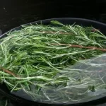 Simmering rosemary sprigs at home is a natural and simple way to transform the atmosphere in your home. Here’s what happens