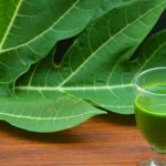 The Remarkable Health Benefits of Papaya Leaf Juice