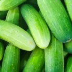 Don’t plant cucumbers without this ingredient, it doubles your crop instantly