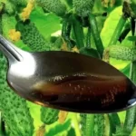 One spoonful of this ingredient will give tons of fruits, they never turn yellow
