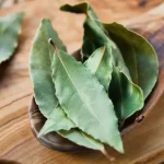 Say goodbye to ants and cockroaches with this magical leaf