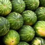The farmer reveals the method for choosing the sweetest watermelon: this is the only way you can find it