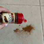 Throw 1 pinch of cinnamon on the floor, the trick that has worked for decades