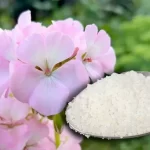 You won’t believe it but it makes any plant or flower grow 5 times faster